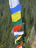 P1000541.JPG