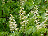 P1000582.JPG