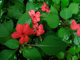 sn_18_kt (30).JPG