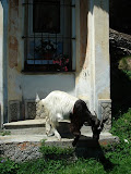 sn_apldevero_280507 (55).JPG