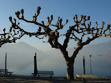 sn_asc_230208 (11).JPG