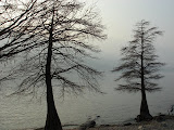 sn_asc_230208 (82).JPG
