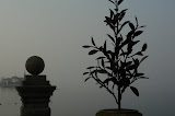 sn_asc_230208 (89).JPG