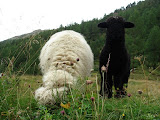 sn_brunn_20905_kt (13).JPG
