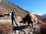 nepal_2 (751).JPG