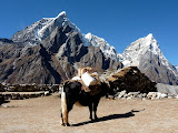 nepal_2 (917).JPG