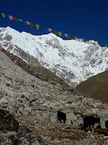 nepal_3 (317).JPG