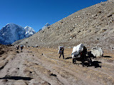nepal_3 (362).JPG