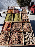 P1050645.JPG