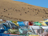 P1050915.JPG