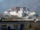 P1050939.JPG