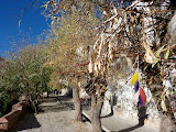 P1060060.JPG