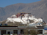 P1060169.JPG