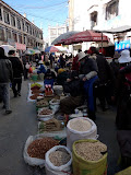 P1060445.JPG