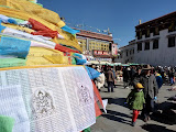 P1060369.JPG