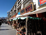 P1060456.JPG