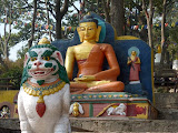 P1060694.JPG
