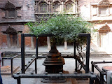 P1060650.JPG