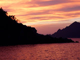 P1080037.JPG