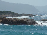 P1080115.JPG
