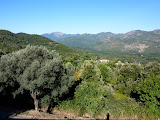 P1080162.JPG