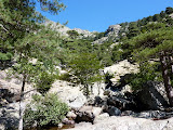 P1080167.JPG