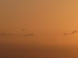 P1080244.JPG