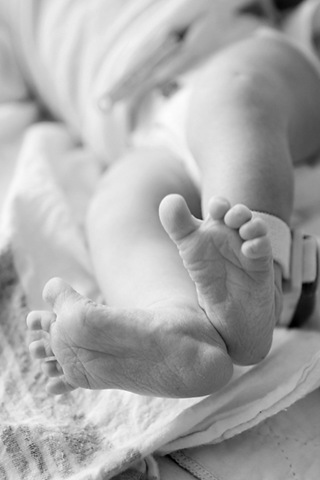 [26_IMG_7861 bw-1[4].jpg]
