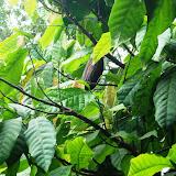AZI_2_2010022