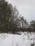 Staavgang i sne nov 2010 015.JPG