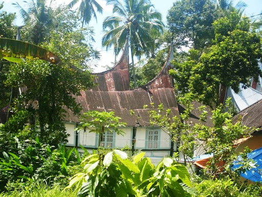 http://lh5.ggpht.com/_ve-mkMwoE1k/SnRXbY4PLaI/AAAAAAAABCw/Ry9ywVajwiI/chat2610-6.JPG