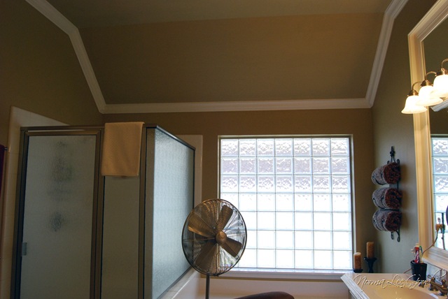 [Norma Lee Good master bath Camelback paint[8].jpg]