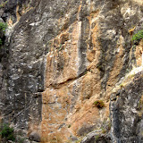 IMG_3871.jpg