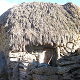 IMG_3992.jpg