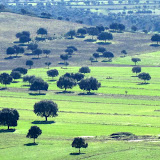 IMG_4255 copia.jpg
