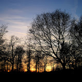 IMG_5020.jpg