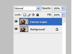 image showing the curveslayer in photoshop