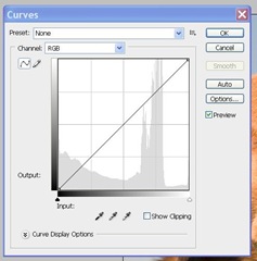 image showing the dialogue for curves box in photoshop