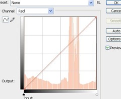 image showing the red channel in curves
