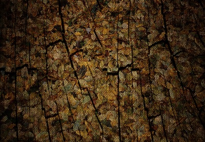 [JGS_AutumnBackground[5].jpg]