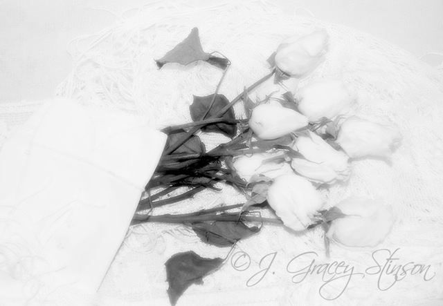 [RosesandLace4.jpg]