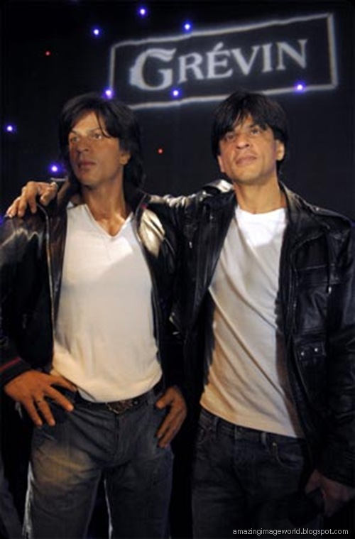 Shah Rukh Khan’s Picks
