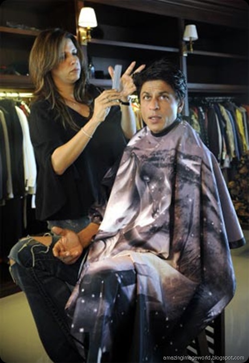 Shah Rukh Khan’s Picks