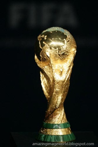 [Trophy at play -off matches for FIFA 2010001[3].jpg]