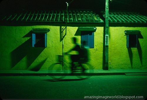 LIFE IN COLOUR GREEN