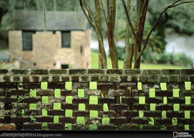 [LIFE IN COLOUR_GREE005[5].jpg]