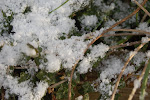 DSC_0044.JPG