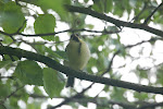 dsc_0518.jpg