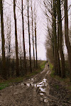 geploeter in de modder tussen St-Lievens-Houtem en Cotthem, nee hoor