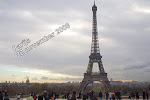 Nikon_20081122_5861.jpg